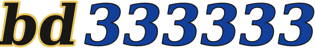 bd333333 logo